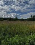 Куплю участок 12.5 соток , фотография 4