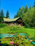 Куплю дом на участке  соток , фотография 4