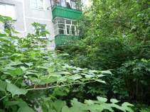 Купить 1-комнатную квартиру Московская область, Подольск, Индустриальная ул., 25 Купить 1-комнатную квартиру , фотография 8