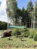 Продать участок 6.3 соток , фотография 2