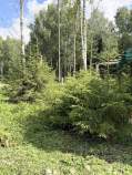 Купить участок 6.3 соток , фотография 6
