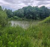 Куплю участок 10.0 соток , фотография 4