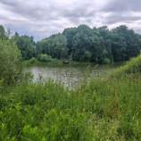 Куплю участок 10.0 соток , фотография 4