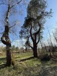 Продать участок 25.0 соток , фотография 2