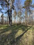 Куплю участок 25.0 соток , фотография 4