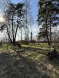 Купить участок 25.0 соток , фотография 5