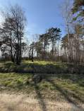 Купить участок 25.0 соток , фотография 7