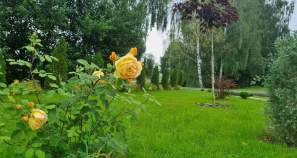 Купить участок 10.0 соток , фотография 7