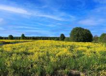 Купить участок 7.6 соток , фотография 7