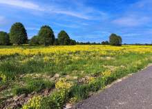 Куплю участок 6.0 соток , фотография 4