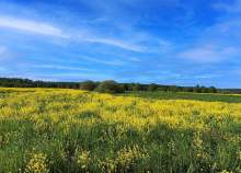 Купить участок 6.0 соток , фотография 6