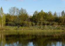 Покупка участок 12.0 соток , фотография 3