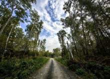 Продать участок 10.7 соток Московская область, Домодедово, Московская обл., Домодедово, территория КП Данилово парк, 9 Продать участок 10.7 соток , фотография 2