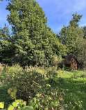 Продать дом на участке 5.0 соток , фотография 2