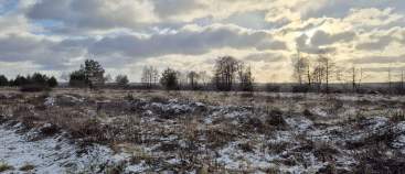 Продать участок 19.1 соток , фотография 2