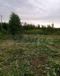 Покупка участок 10.0 соток , фотография 3