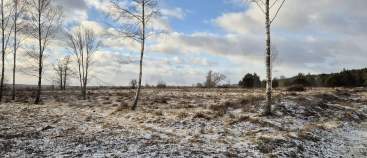 Покупка участок 19.1 соток , фотография 3