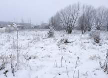 Фотография Участок в Московская область, Подольск городской округ, д. Никулино (12.9 сот.), Куплю участок 12.9 соток , фотография обложки