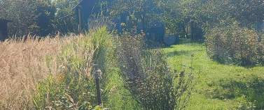 Куплю участок 5.0 соток , фотография 4