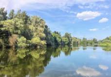 Продажа недвижимости Московская область, Домодедово городской округ, с. Красный Путь, ул. Березовая, 13 Цена на участок 8.2 соток , фотография 1