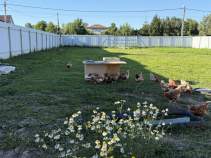 Продается участок 9.0 соток Московская область, Чехов муниципальный округ, Ромашкино СНТ, Куплю участок 9.0 соток , фотография 4