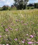 Купить участок 9.0 соток Московская область, Домодедово городской округ, д. Ильинское, Фаворит кп, Купить участок 9.0 соток , фотография 7