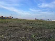 Купить участок 41.7 соток Московская область, Домодедово городской округ, с. Юсупово, Васнецово кп, 116 Купить участок 41.7 соток , фотография 8