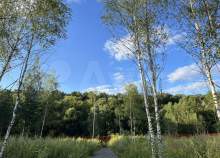 Купить участок 608.0 соток Московская область, Подольск, Московская обл., г.о. Подольск, д. Кутьино, Даниловская ул. Купить участок 608.0 соток , фотография 9