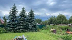 Купить участок 8.0 соток , фотография 7