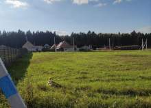 Куплю участок 11.0 соток , фотография обложки