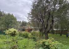 Продажа недвижимости Московская область, Домодедово, Московская обл., Домодедово, СНТ Металлург-3, 4-я линия, 145 Цена на дом на участке соток , фотография 1