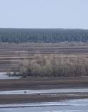 Купить участок 13.0 соток Московская область, Пущино, Московская обл., г.о. Серпухов, с. Липицы Покупка участок 13.0 соток , фотография 3