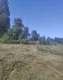 Купить участок 10.5 соток , фотография 7
