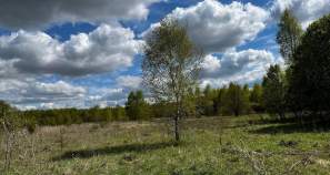 Купить участок 8.0 соток Московская область, Чехов, Московская обл., муниципальный округ Чехов, территория Новое Филипповское, Любушинская ул. Купить участок 8.0 соток , фотография 5