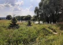 Купить участок 6.0 соток , фотография 5