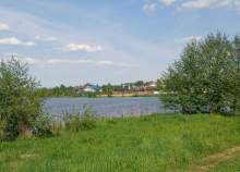 Покупка участок 8.0 соток , фотография 3