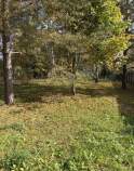 Купить участок 7.3 соток , фотография 8