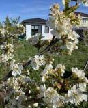 Фотография Дом 54 м² на участке 12,8 сот., Московская обл., муниципальный округ Чехов, с. Ивановское, Полевая ул., 1Б Куплю дом на участке соток , фотография обложки