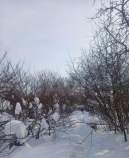 Куплю участок 19.0 соток , фотография обложки