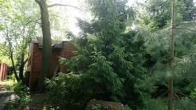 Купить дом на участке соток Московская область, Домодедово, Россия, Московская область, городской округ Домодедово, Заболотье Покупка дом на участке соток , фотография 3