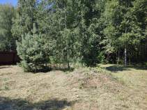 Купить участок 9.0 соток , фотография 8