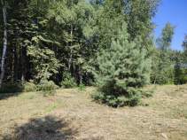 Купить участок 9.0 соток , фотография 9