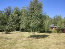 Купить участок 18.0 соток Московская область, Домодедово, Сиеста Восточная тер., Купить участок 18.0 соток , фотография 7