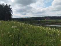 Продается дом на участке соток Московская область, Серпухов городской округ, д. Трухачево, Куплю дом на участке соток , фотография 4