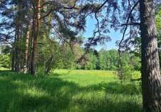 Продать участок 12.0 соток , фотография 2