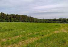 Куплю участок 12.0 соток , фотография 4