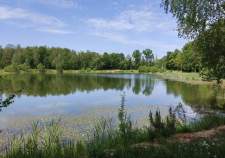 Купить участок 12.0 соток , фотография 5