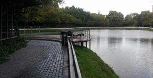 Купить участок 12.0 соток , фотография 8