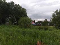 Куплю участок 15.0 соток , фотография 4