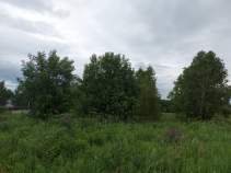 Купить участок 15.0 соток , фотография 5